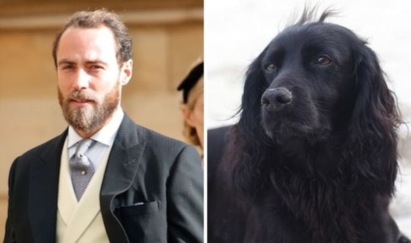 James Middleton Lupo