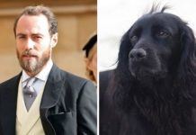 James Middleton shares emotional tribute after death of Kate and Prince William’s dog Lupo | Royal | News (Reports)