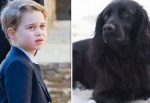 Kate Middleton and Prince William’s late dog Lupo helped choose Prince George’s name | Royal | News (Reports)