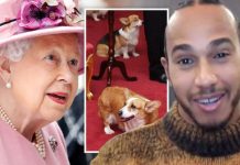 Lewis Hamilton opens up on awkward meeting with the Queen: ‘Stepped on her dog!’ | Royal | News (Reports)