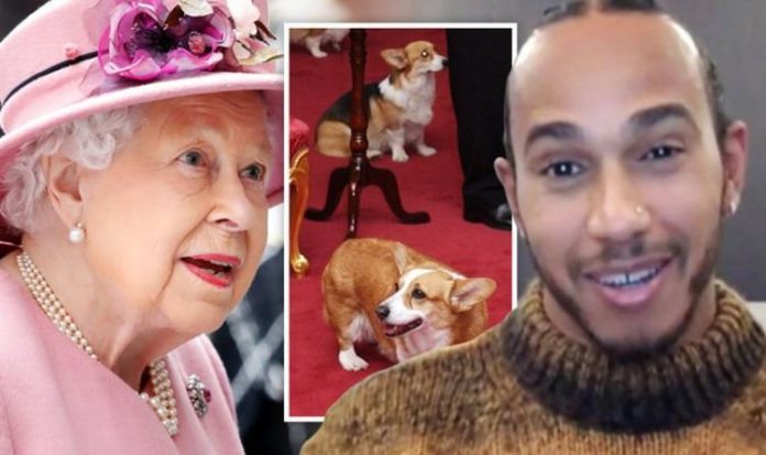 Lewis Hamilton opens up on awkward meeting with the Queen: 'Stepped on her dog!' | Royal | News