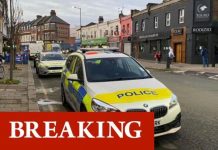 London bloodbath: Man stabbed dead at West London cemetery – police make arrest | UK | News (Reports)