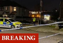 London news: Met Police confirm teenager killed in stabbing in park near Wembley | UK | News (Reports)