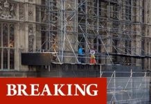 London news: Protesters break into Palace of Westminster – police race to scene | UK | News (Reports)