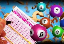 Lottery results November 4 live: What are tonight’s winning Lottery numbers? | UK | News (Reports)