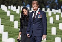 Meghan Markle and Prince Harry accused of using Remembrance Day to overshadow the Queen | Royal | News (Reports)