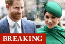 Meghan Markle and Prince Harry announce new press team as couple kick-start future plans | Royal | News (Reports)