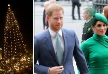 Meghan Markle and Prince Harry set to snub royal Christmas tradition – ‘Disappointed’ | Royal | News (Reports)
