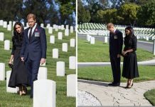 Meghan Markle and Prince Harry ‘made it about themselves’ on Remembrance Day | Royal | News (Reports)