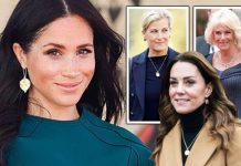 Meghan Markle’s approachability backfires for royals who try to mimic her-‘entitled bunch’ | Royal | News (Reports)