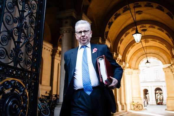 Michael Gove: The Cabinet Minister said the 'penny is dropping' in Brussels 