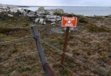 Mines of Falklands are cleared as UK moves to rid battlefields of explosives | UK | News (Reports)