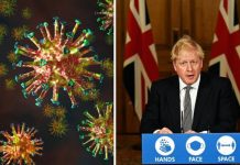 New lockdown rules: Everything you CAN’T do under new lockdown rules | UK | News (Reports)