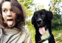 Noodles the dog named winner of comedy contest for pets | UK | News (Reports)