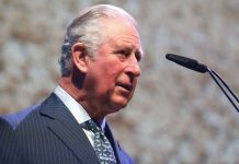 Prince Charles hails impact of TV during difficult lockdown | Royal | News (Reports)