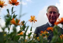 Prince Charles launches pricey gin inspired by ‘delicate’ herbs grown in Highgrove garden | Royal | News (Reports)