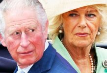 Prince Charles transformation: Camilla’s support has had ‘wonderful effect’ on future king | Royal | News (Reports)