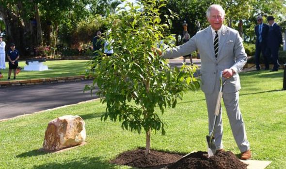 Prince Charles tree-planting habit shared