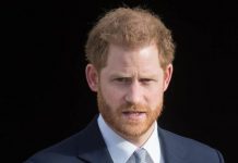 Prince Harry denied poppy wreath at Cenotaph by royal courtiers | Royal | News (Reports)