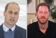 Prince Harry had ‘tough time’ worrying as William battled coronavirus expert says | Royal | News (Reports)