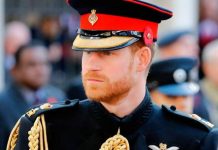 Prince Harry heartbreak: Duke speaks of ‘honour’ of wearing uniform on Remembrance Sunday | Royal | News (Reports)
