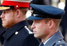 Prince Harry news: Duke equally heartbroken as William on Diana as he rages at rift claims | Royal | News (Reports)