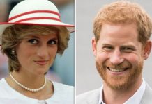 Prince Harry news: Duke of Sussex urged to speak out over BBC Princess Diana row | Royal | News (Reports)