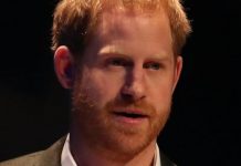 Prince Harry news: Duke of Sussex warned Netflix success paramount for independence | Royal | News (Reports)