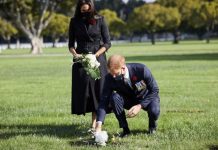 Prince Harry praised for Remembrance Sunday service – ‘One a soldier, always a soldier’ | Royal | News (Reports)