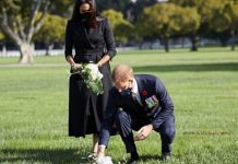 Prince Harry supporters furious at Remembrance day attacks on Duke – ‘Not disrespectful’ | Royal | News (Reports)