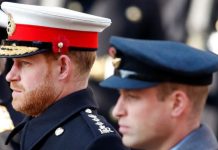 Prince Harry took precedent over William during Remembrance Day service amid fallout claim | Royal | News (Reports)