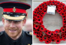 Prince Harry’s cenotaph wreath request picked apart: ‘It’s not personal!’ | Royal | News (Reports)