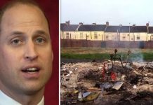 Prince William news: Royal-spotlighted primary school meadow destroyed by vandals | Royal | News (Reports)