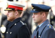 Prince William’s Covid infection may have been kept secret over fear of King Harry ‘panic’ | Royal | News (Reports)