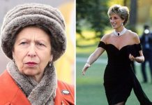 Princess Anne’s brutal take of Princess Diana ‘lessening stature of Royal Family’ | Royal | News (Reports)