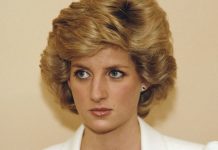 Princess Diana: Diana ‘accepted Camilla’ as love of Charles’ life – ‘nothing she could do’ | Royal | News (Reports)