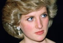 Princess Diana gun controversy: Earl Spencer withdraws shotgun as The Crown sparks chaos | Royal | News (Reports)