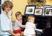 Princess Diana news: Royal sought ‘normal and private life’ for William and Harry | Royal | News (Reports)