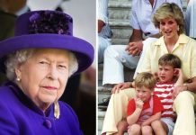 Queen’s blunt remark to Diana about hands-on mothering ‘We’ve got millions of housemaids!’ | Royal | News (Reports)