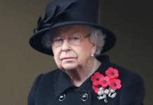 Remembrance Sunday: Queen Elizabeth II described as ‘lonely figure’ in BBC broadcast | Royal | News (Reports)