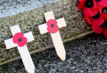 Remembrance Sunday events WILL go ahead despite lockdown – new guidance issued | UK | News (Reports)