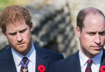 Royal Family news: Harry and William split is ‘polarising’ public – ‘Not their job!’ | Royal | News (Reports)