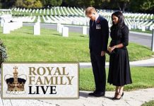 Royal Family news: Meghan Markle and Harry attacked for ‘staged’ Remembrance photos | Royal | News (Reports)