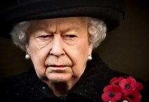 Royal tribute: Royal Family update social media for touching reason | Royal | News (Reports)