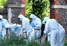 Suspected terrorist who murdered three men in knife rampage at park faces life in jail | UK | News (Reports)