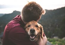 The Cat That Got The Cream: UK pets set to inherit £81.7 million in wills The Cat That Got The Cream: UK pets set to inherit £81.7 million in wills