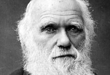 Two manuscripts by Charles Darwin reported stolen from Cambridge University | UK | News (Reports)