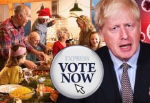 UK lockdown: Would you sacrifice Christmas not to be locked down in January? VOTE HERE | UK | News (Reports)