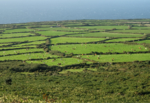 Updated rules for farm workers arriving in England