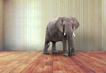 We need to talk about the elephant in the room